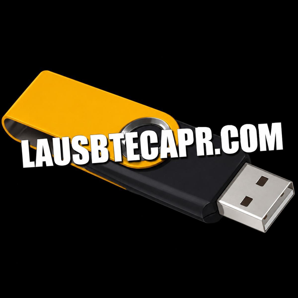LAUSBTECAPR.COM Pendrive con música