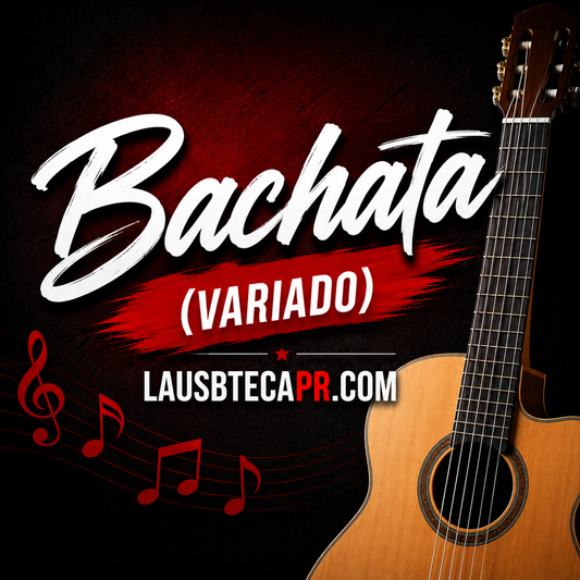 #2 - Bachata Mix
