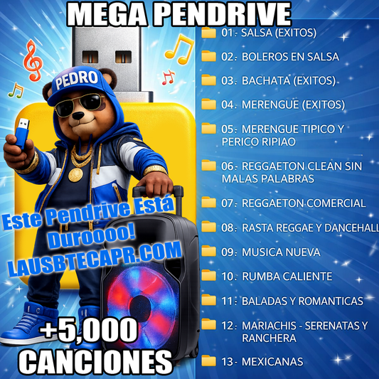 09- Mega Pendrive - Todo en 1 con más de 5,000 canciones